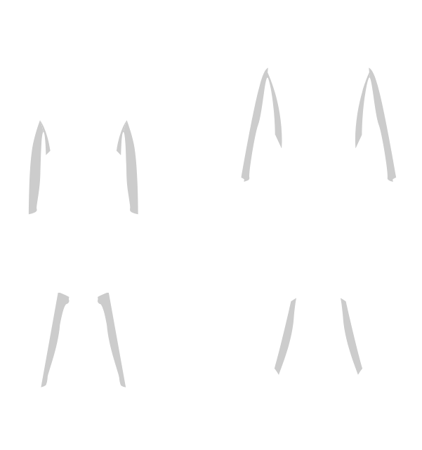 Main Suit